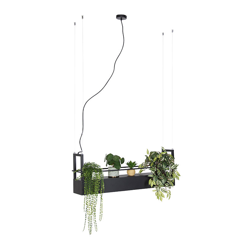 Industrial hanging lamp black with rack 4-lights GU10 - Cage Rack