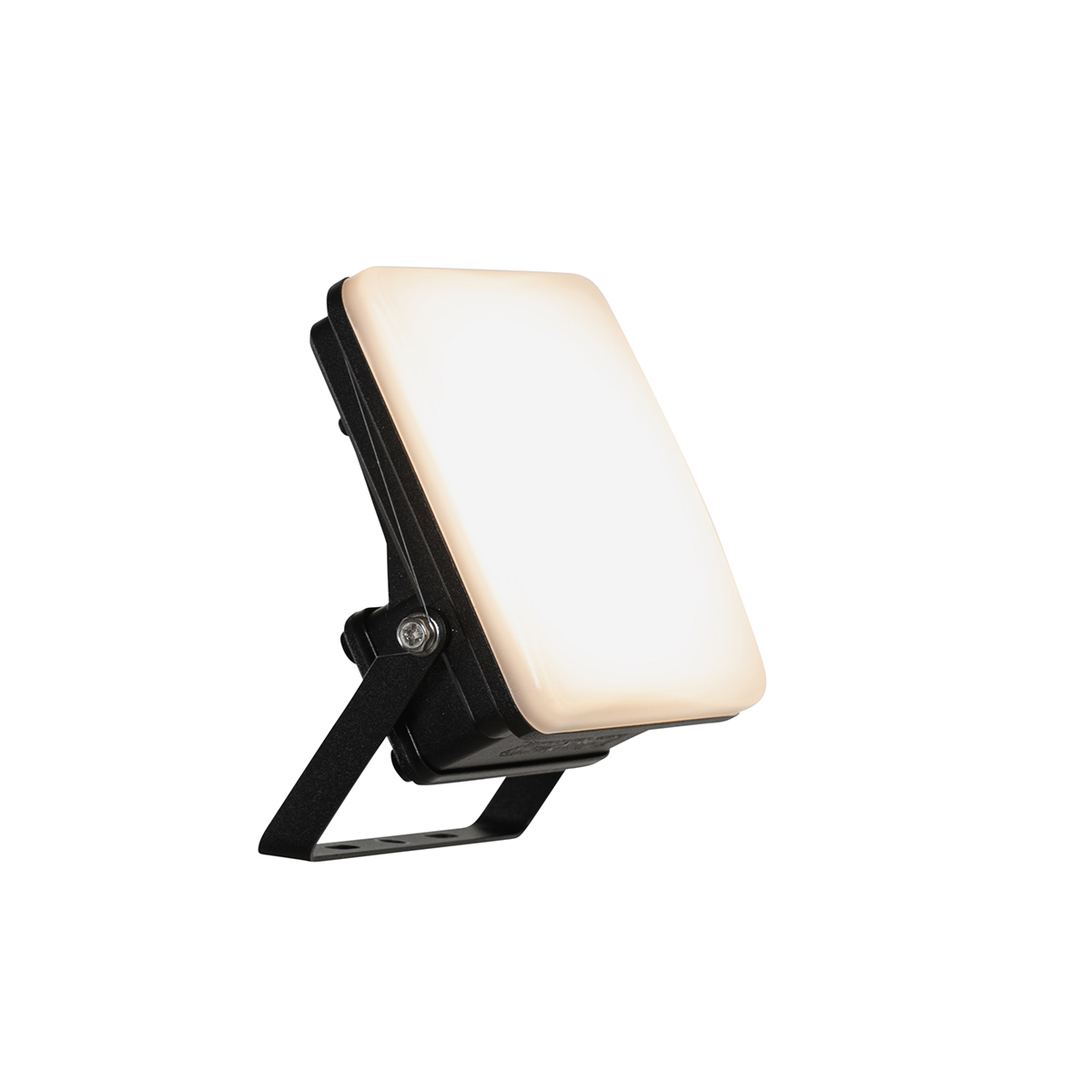 Faretto intelligente nero 12,8 cm con LED IP65 con picchetto - Ruud