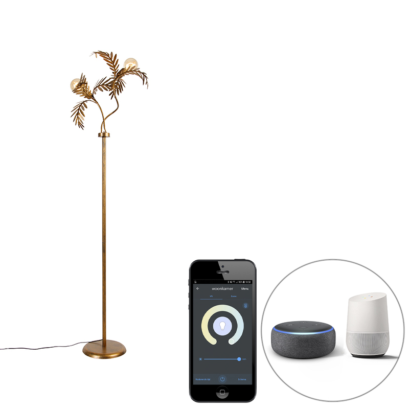 smart-vloerlamp-goud-2-lichts-incl-wifi-g95-botanica-8718881145124