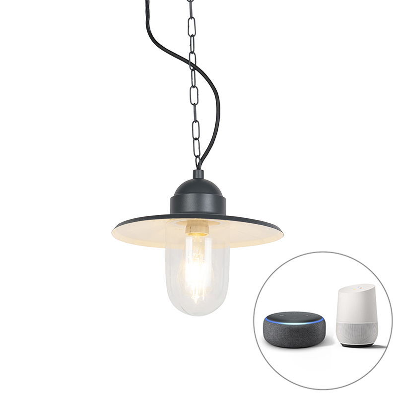Smart outdoor hanging lamp anthracite IP44 incl. Wifi ST64 - Kansas graphite