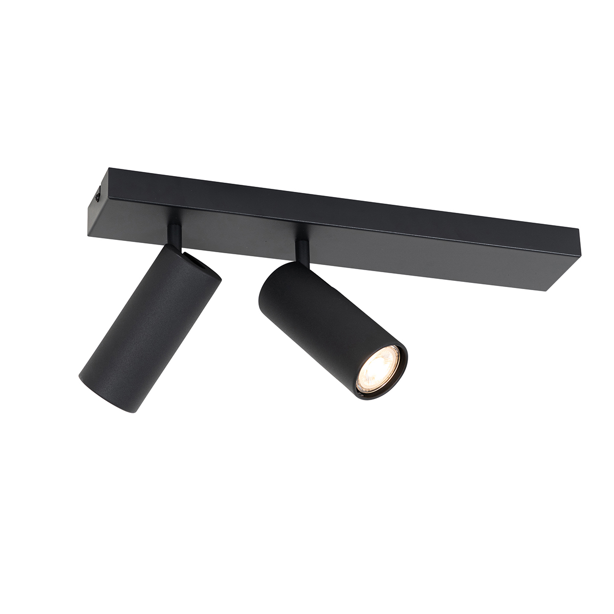 Moderné stropné bodové svetlo čierne 2-žiarovkové nastaviteľné - Renna
